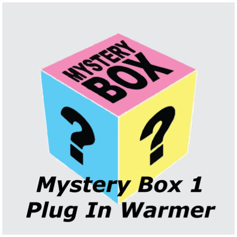 Mystery Box 1 - Plug In Warmer